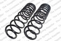Rear Coil Spring Kit for Ford (4427545)