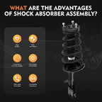 2X Rear Strut & Coil Spring Assembly Kit for Toyota Venza (2013–2015)