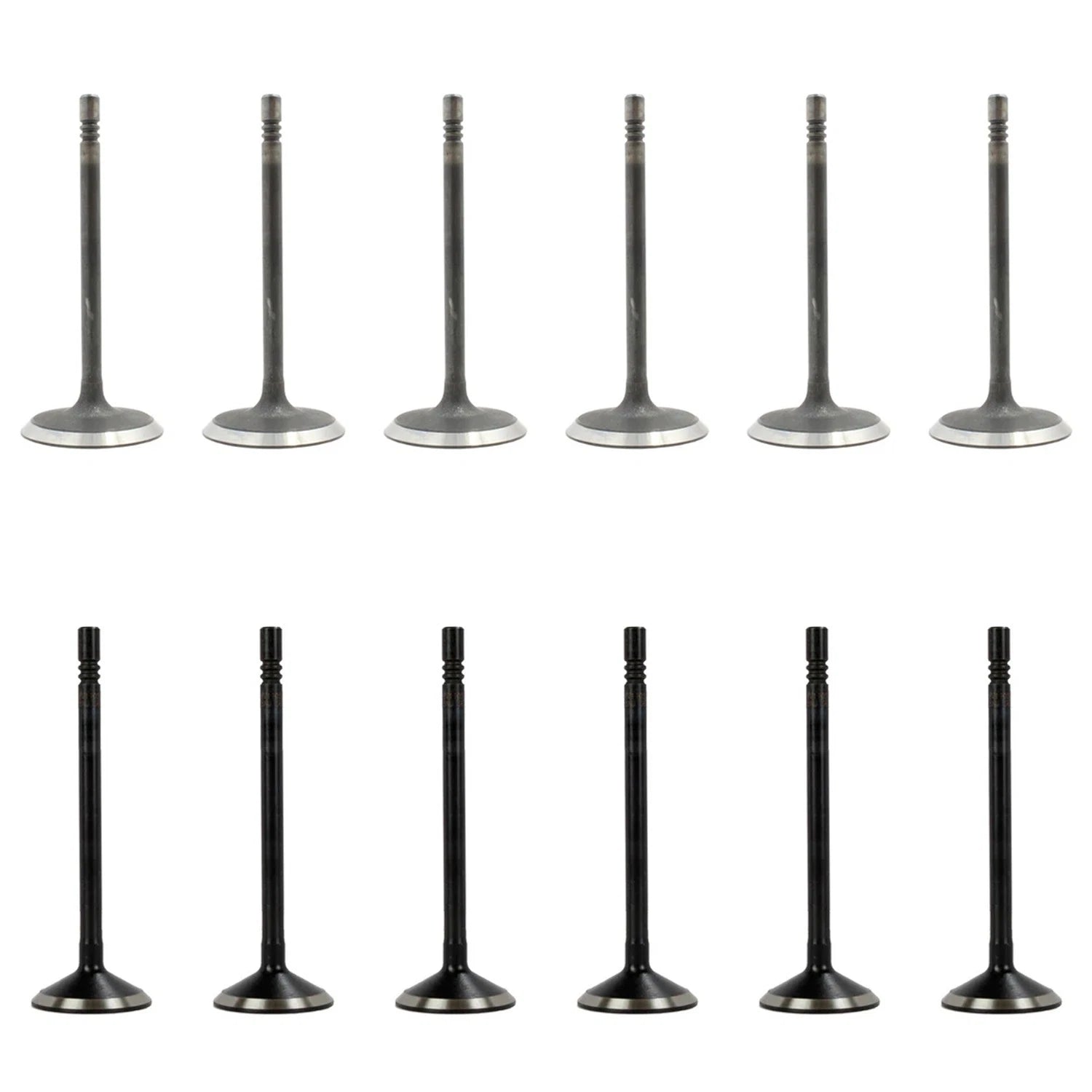 Set of 12 Intake & Exhaust Valves Kit for Dodge Dakota Ram 1500 V6 (1997–2004)