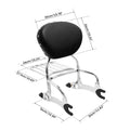 12" Backrest Sissy Bar & Pad Luggage Rack for Indian Chief Dark Horse (2016–2018)
