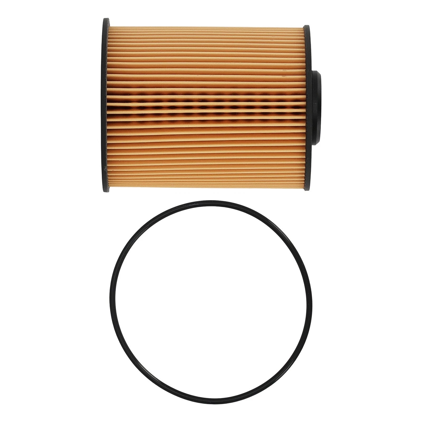 Fuel Filter for Blue Bird Dodge Ford (1997–2016) 68001914AA FS19856 4935205