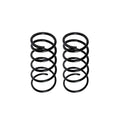 2X Rear Coil Springs for Mazda 626 (2002)