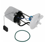 Electric Fuel Pump Module for Ford F-150 (2009–2014)