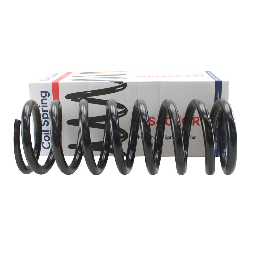 Rear Coil Spring for Mercedes-Benz (4256806)
