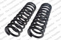 Front Coil Spring Kit for Buick (4112113)
