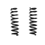 2Pcs Rear Coil Springs for BMW 335i E90 (2007–2011) E88 135i (2008–2013)