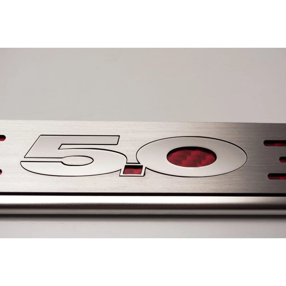 Stainless Steel License Plate Frame Replacement with LED for Ford Universal