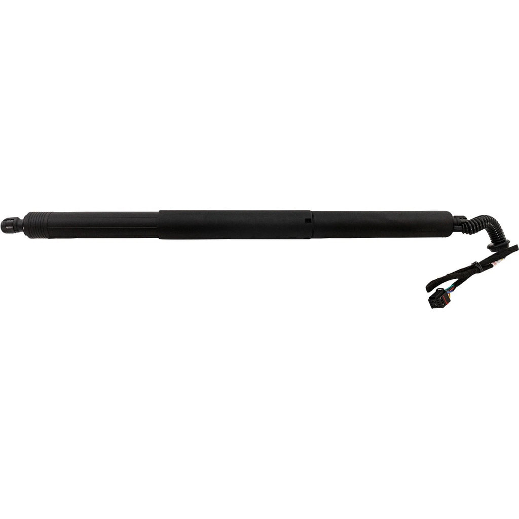 Liftgate Lift Supports for Audi Q3
