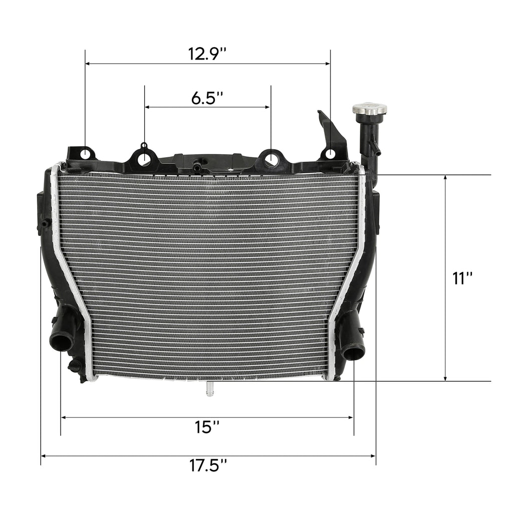 Radiator Cooler for BMW S1000RR HP4 RACE (2009–2018)