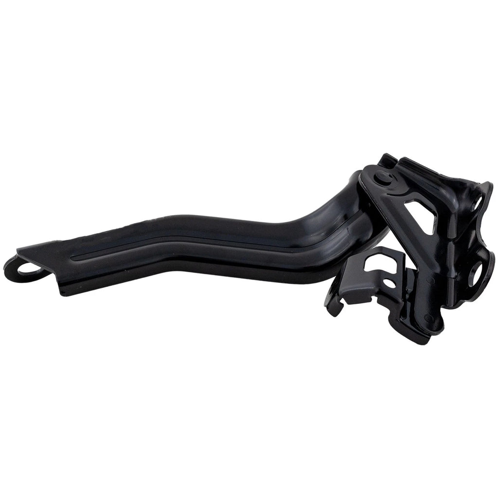 Hood Hinge for Toyota Avalon (2019–2022) Driver & Passenger Side