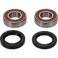 Pivot Works Wheel Bearing for