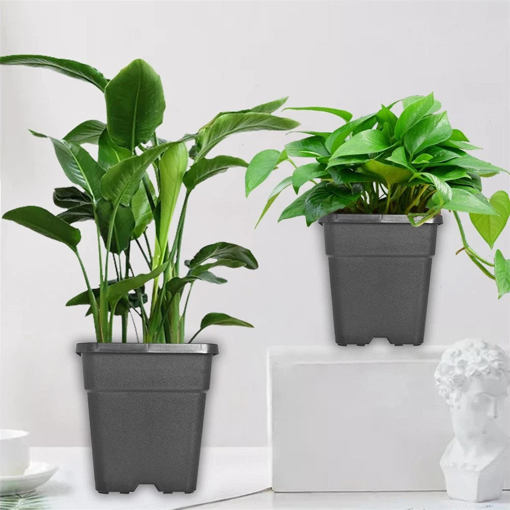 Set of 10 Square Nursery Pots for Plant Container (Gallon Sizes)