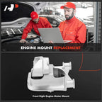 Front Passenger Engine Motor Mount for Ford EcoSport (2018-2021)