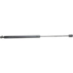 Lift Support for Dodge Ram 1500 (2002–2007) Driver and Passenger Side