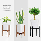 Set of 5 Plastic Nursery Grow Pots for Bonsai Plants