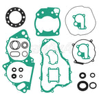 Complete Gasket Kit & Oil Seals for Honda CR250R (1992–2001)