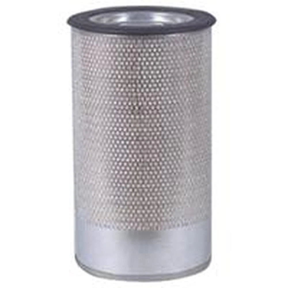 AF25325 Air Filter for Ford (Fits )
