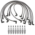 Pro Ignition Wire Set & ACDelco .045" Spark Plugs Kit for Buick Century (V8)