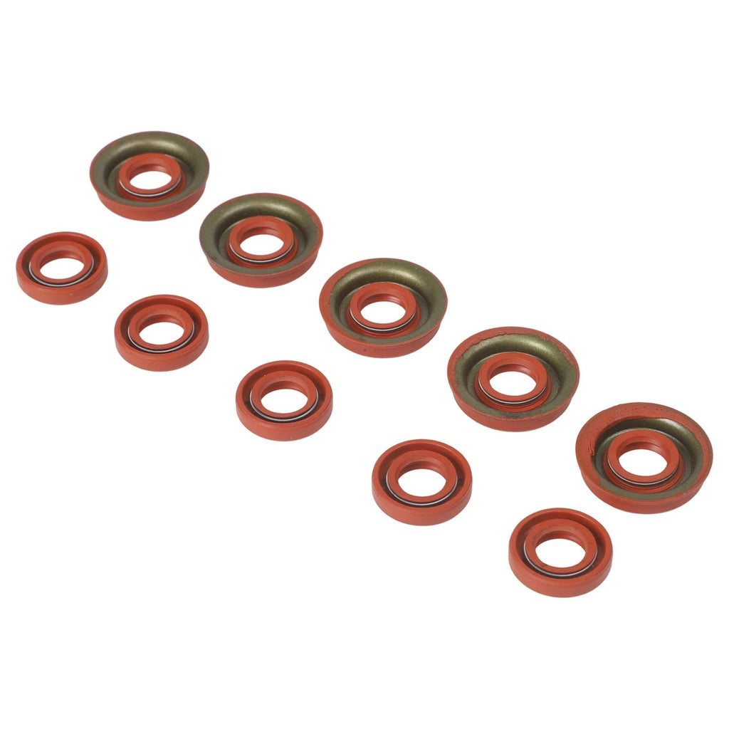 Complete Oil Seal Kit for Gubeter 2500 Chainsaw (25CC)