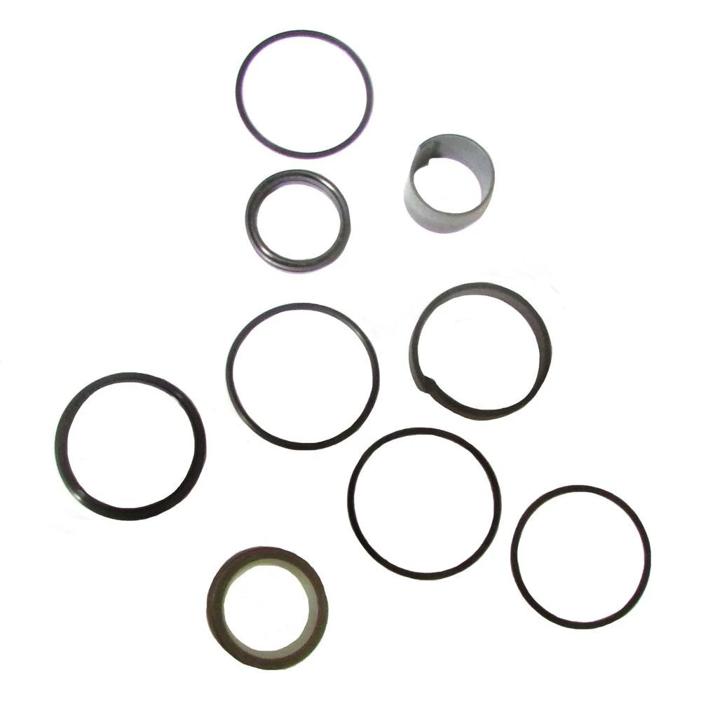 Hydraulic Cylinder Seal Kit for New Holland (86570933)