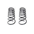 Set of 2 Rear Coil Springs for Kia Sportage (2005–2010)