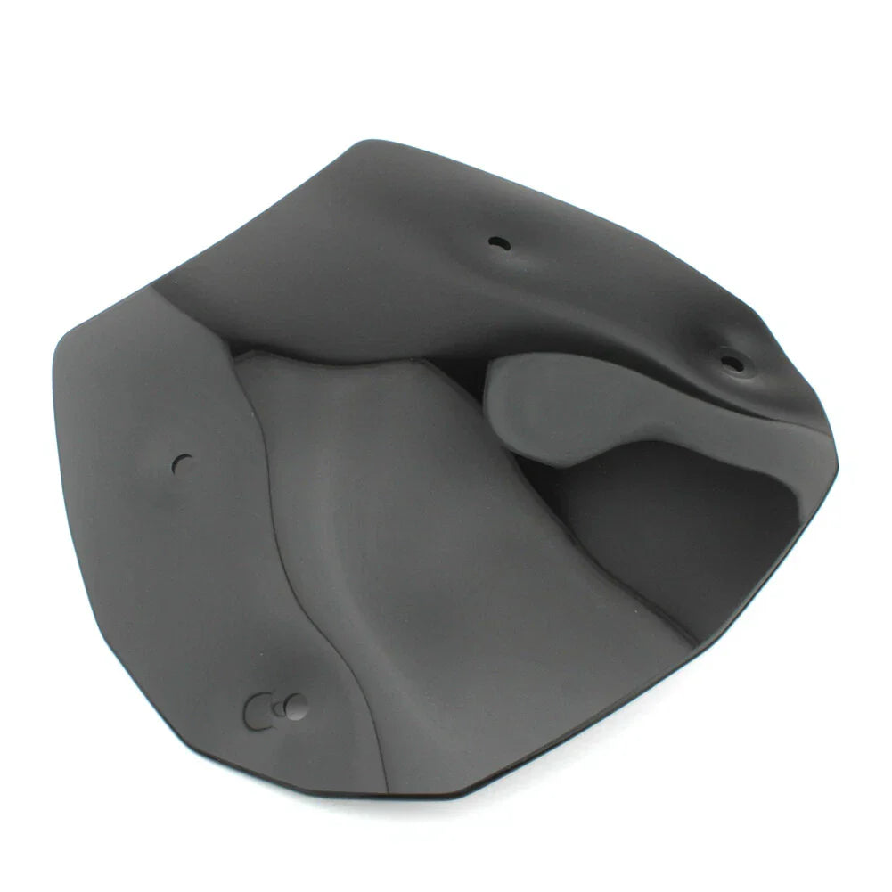 Windscreen Fairing Deflector for BMW R1300GS (2023-2024)