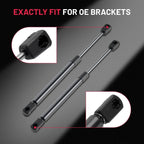 2X Rear Trunk Lift Supports Struts for Chrysler 300 (2005–2008)