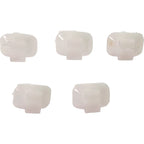 Rear Left Door Molding for Make Model