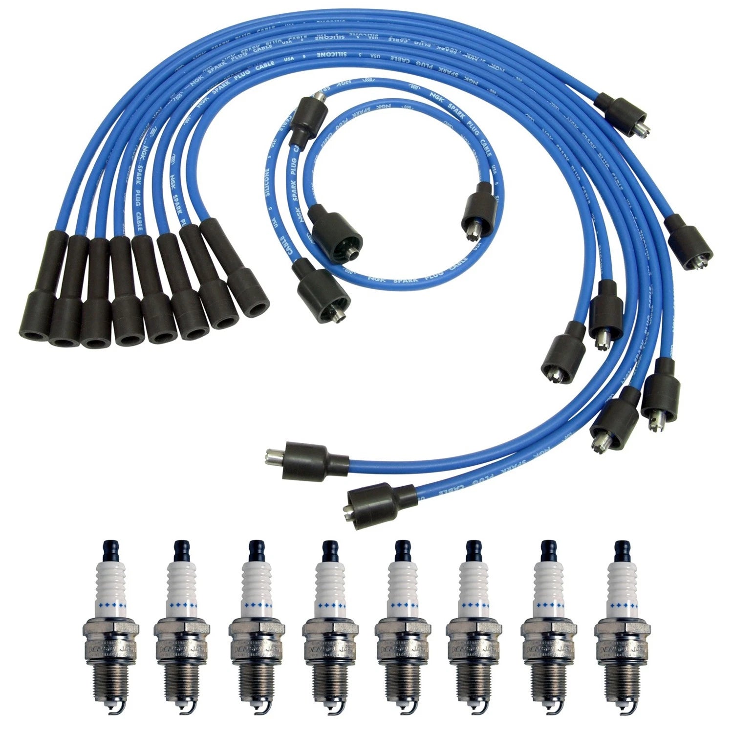 NGK Wire Set & Denso 8 Double Platinum Spark Plugs for D150 Dakota (1997–2004)