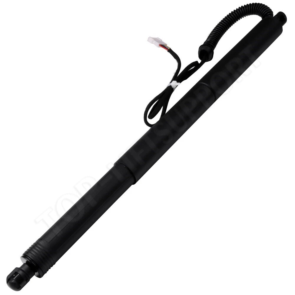 2X Rear Liftgate Lift Supports for BMW X3 (2010–2017)