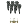 Set of 6 NGK Ignition Coils & Nickel Spark Plugs for Amanti 3.8 V6 (2004–2009)