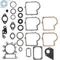 Gasket Set for Lawn Mower (495993)