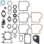 Gasket Set for Lawn Mower (495993)