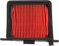 HIFLOFILTRO Air Filter for Triumph (HFA6508)