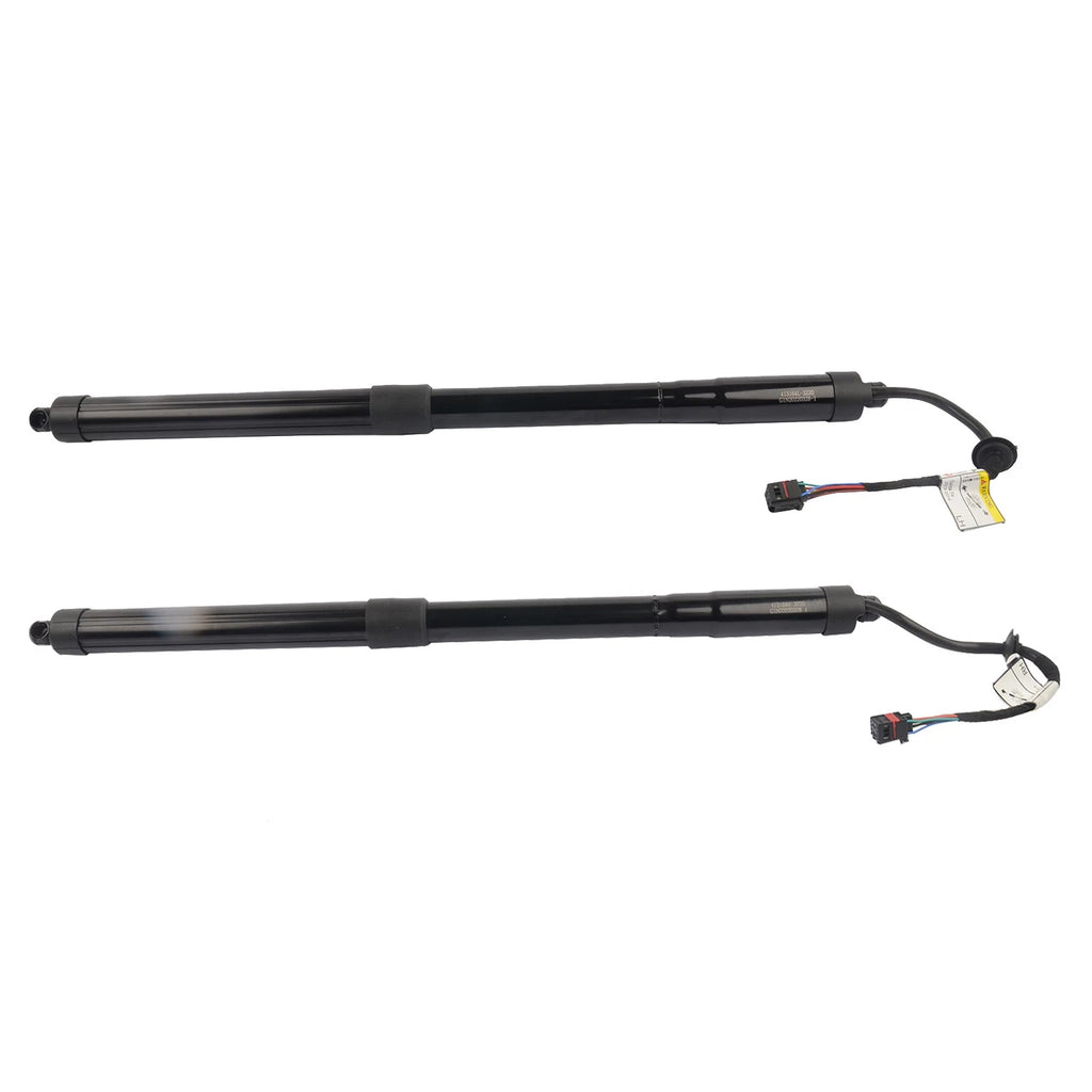 2Pcs Tailgate Lift Support for Hyundai Santa Fe (2013-2019)