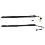 2Pcs Tailgate Lift Support for Hyundai Santa Fe (2013-2019)