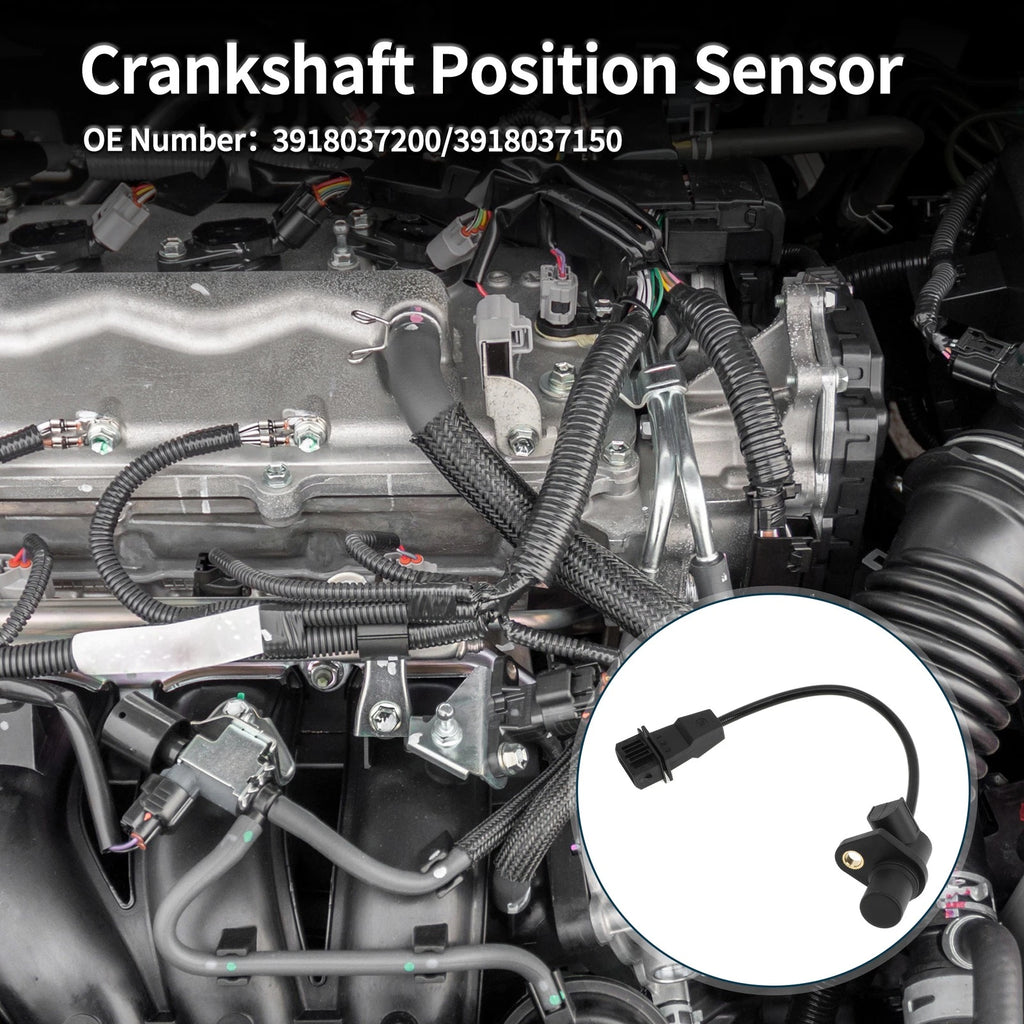 Crankshaft Position Sensor for Hyundai Santa Fe GLS (2001–2006) No. 3918037200