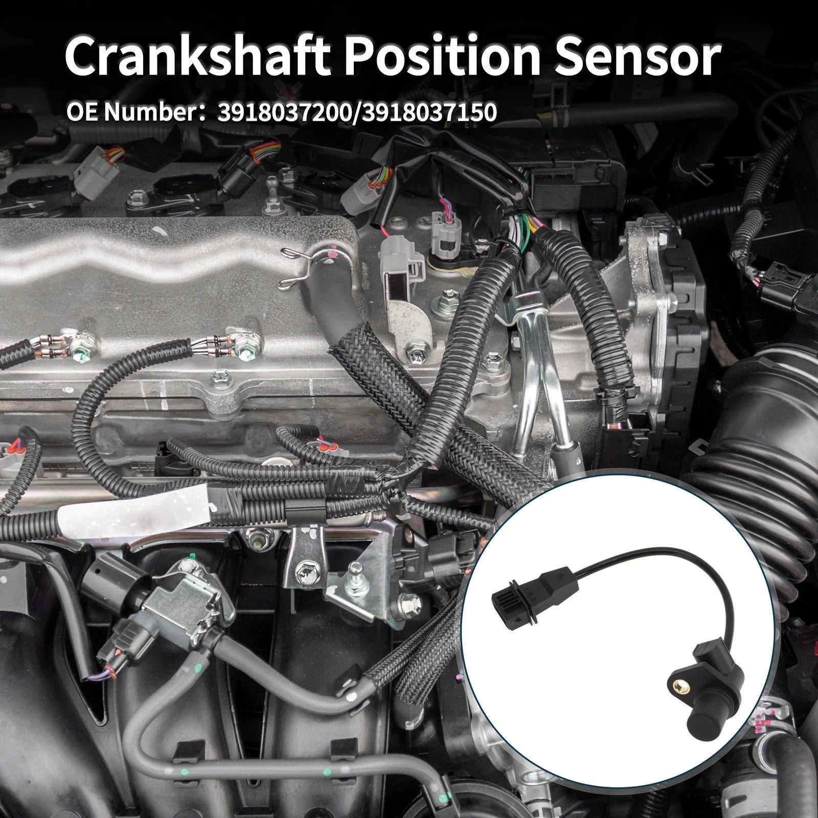 Crankshaft Position Sensor for Hyundai Santa Fe GLS (2001–2006) No. 3918037200