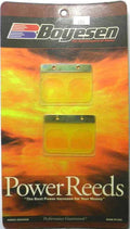 Boyesen Reeds for