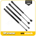 Set of 2 Lift Supports for Dodge Magnum (2005–2010)