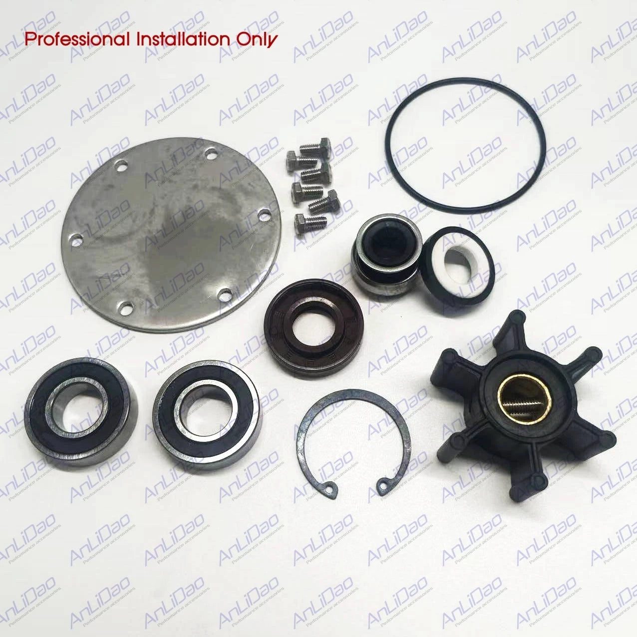 Jabsco Sea Water Pump Repair Kit for Northern (25-12007, 128990-42200)