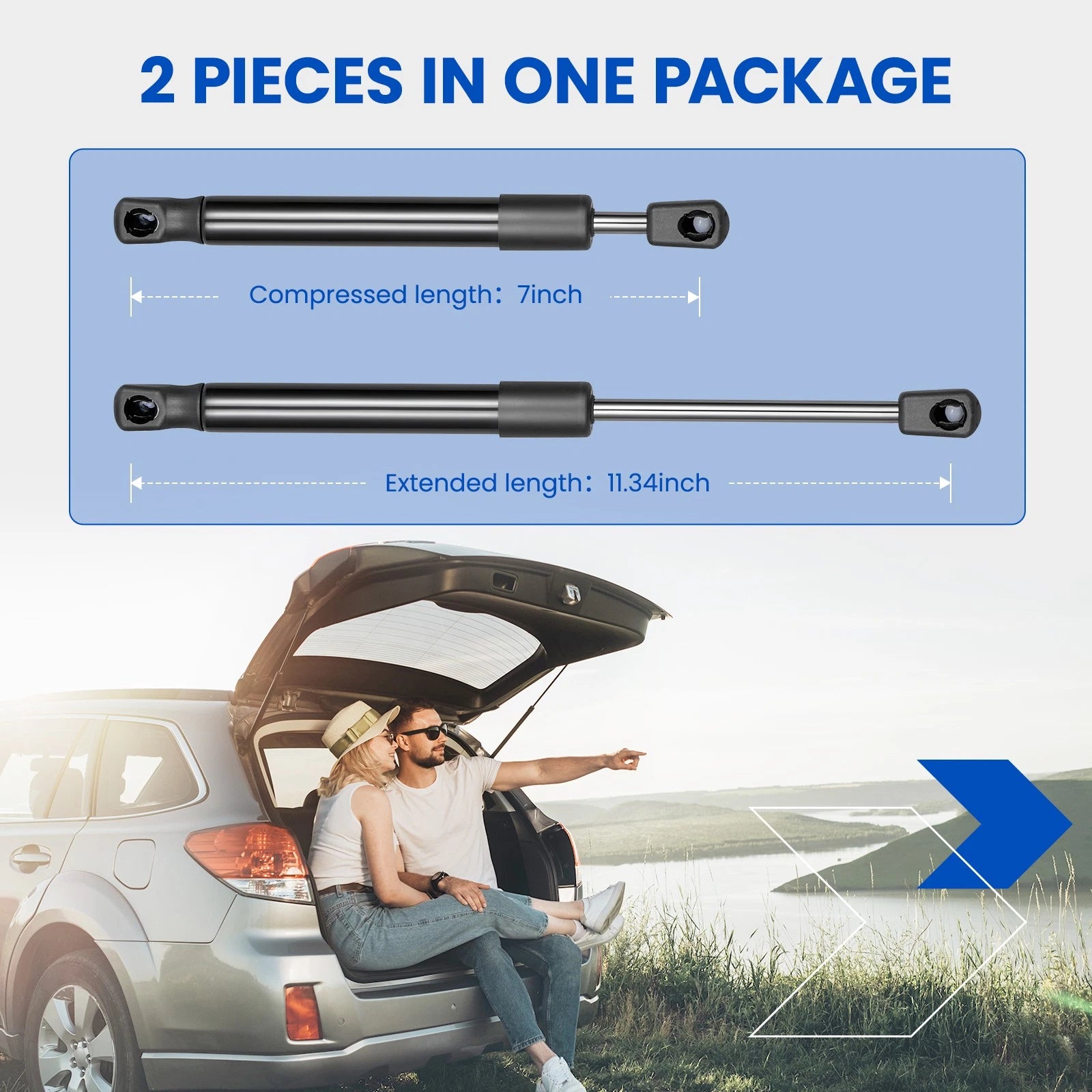 2x Rear Trunk Lift Struts for Dodge Challenger (2008-2021) Coupe