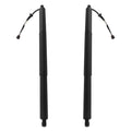 2PC Tailgate Lift Support for Volkswagen Touareg (2011–2015) 7P6827851D 7P6827851F