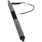 Set of 2 Liftgate Lift Supports for BMW