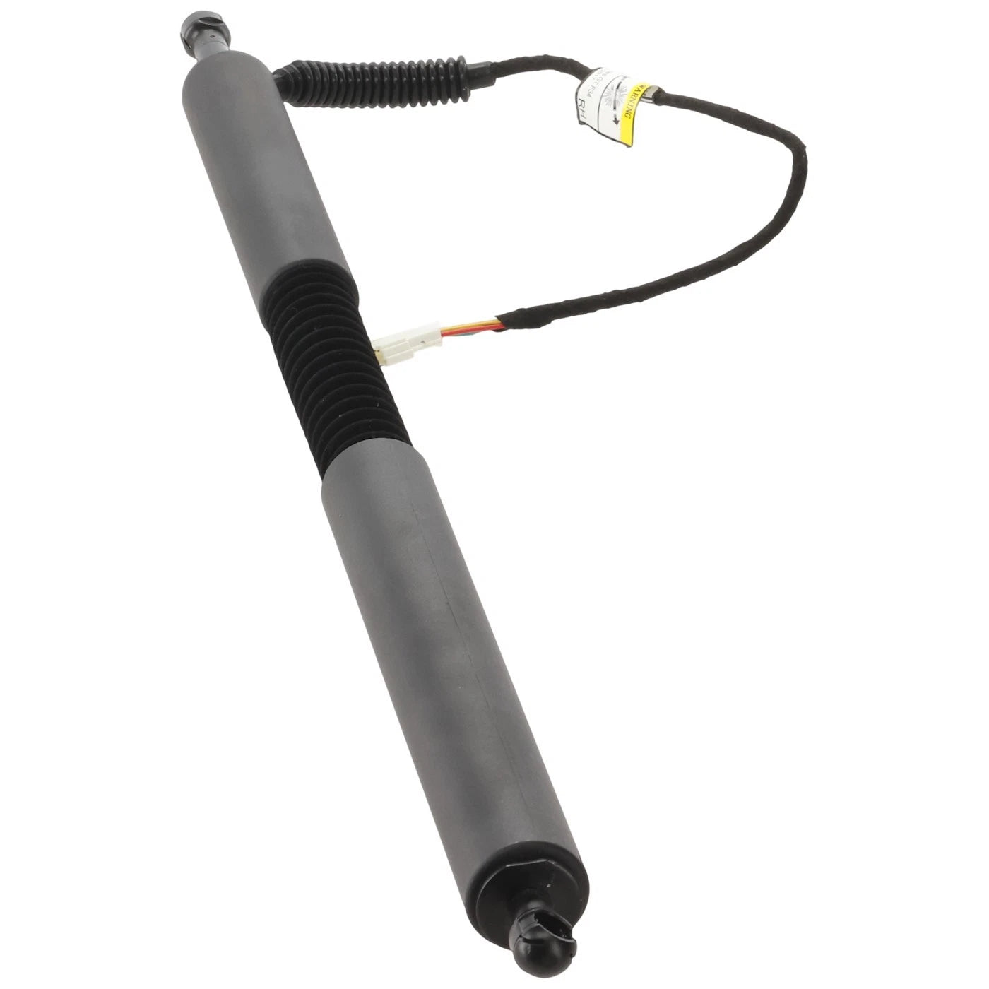 Set of 2 Liftgate Lift Supports for BMW