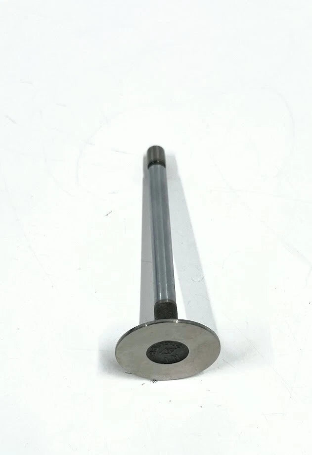 Inlet Valve for Volvo Penta (OEM 860555)