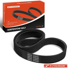 Serpentine Belt for Ford Mustang, Nissan Sentra, Toyota 200SX
