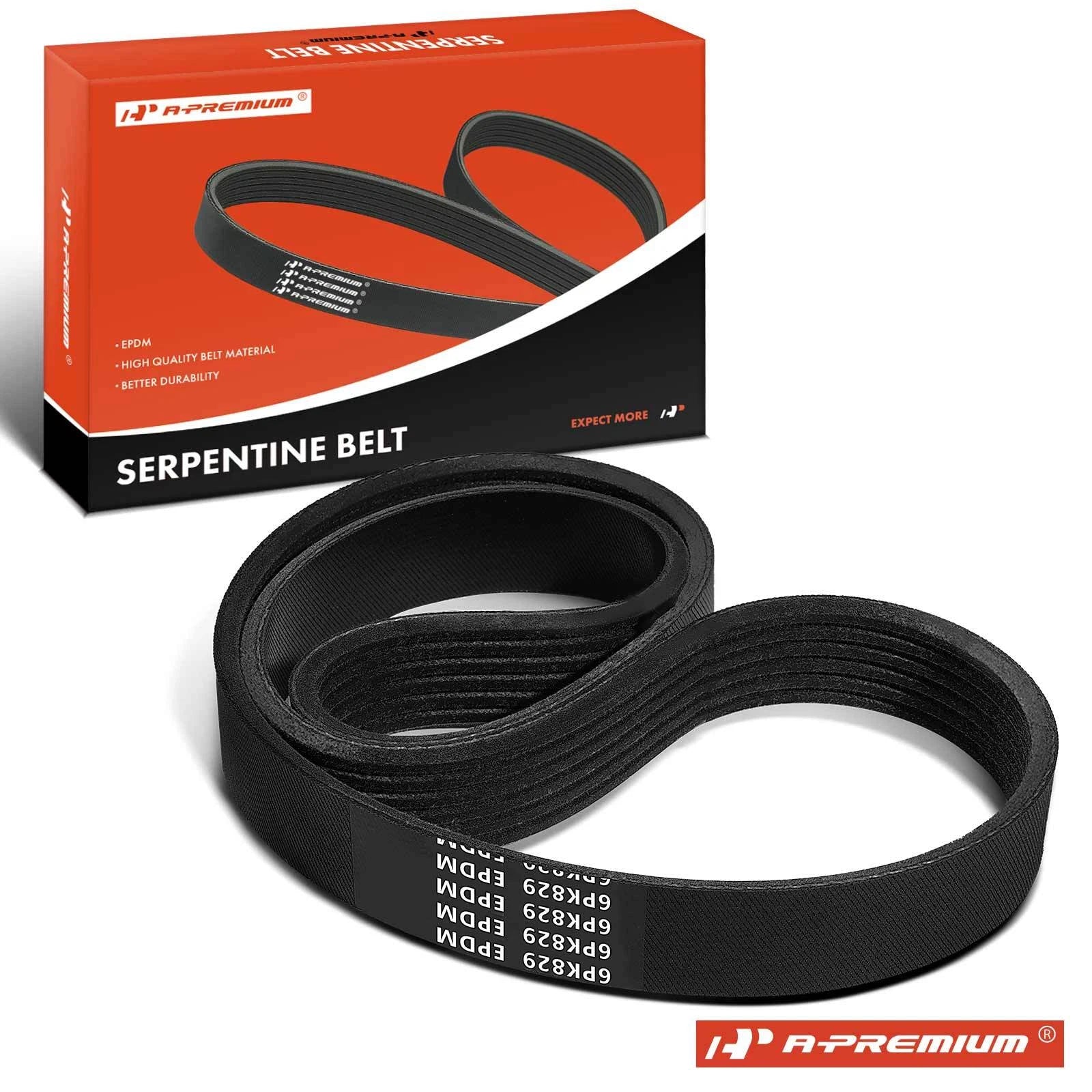 Serpentine Belt for Ford Mustang, Nissan Sentra, Toyota 200SX