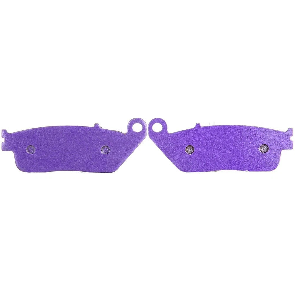 Rear Carbon Fiber Brake Pads for Triumph Thunderbird Sport (1998–2003) FA196