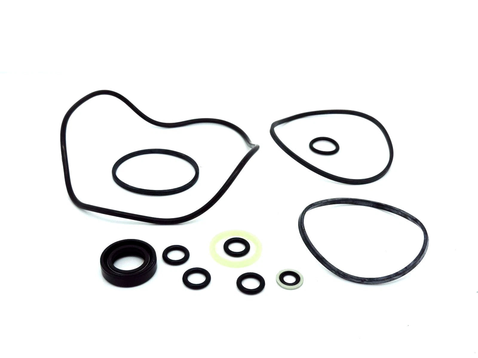Power Steering Pump Seal Kit for David Brown 990 995 996 1210 1212 1410